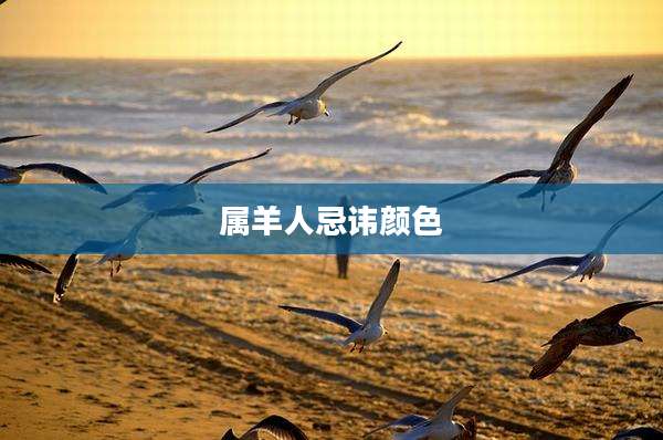 属羊人忌讳颜色