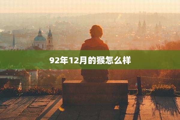 92年12月的猴怎么样