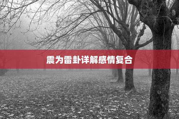 震为雷卦详解感情复合