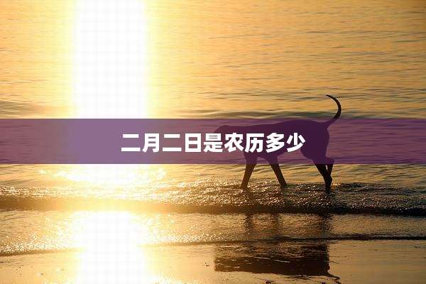 二月二日是农历多少