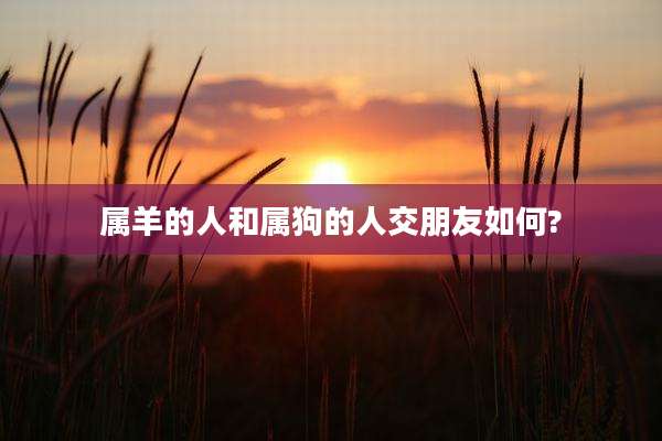 属羊的人和属狗的人交朋友如何?