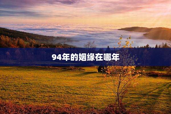 94年的姻缘在哪年