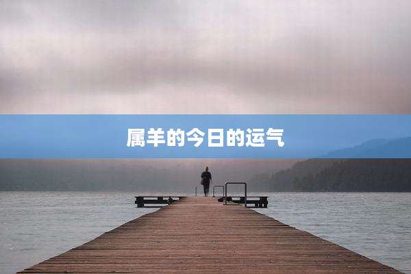 属羊的今日的运气