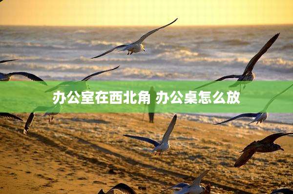 办公室在西北角 办公桌怎么放