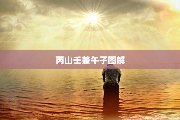 丙山壬兼午子图解