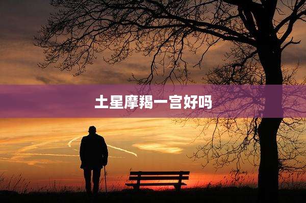 土星摩羯一宫好吗