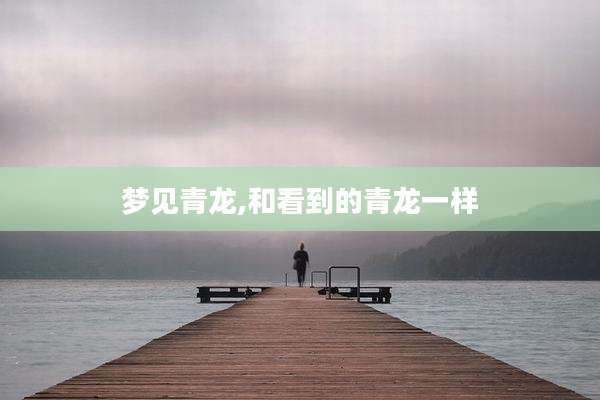 梦见青龙,和看到的青龙一样