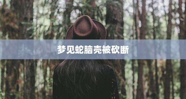 梦见蛇脑壳被砍断