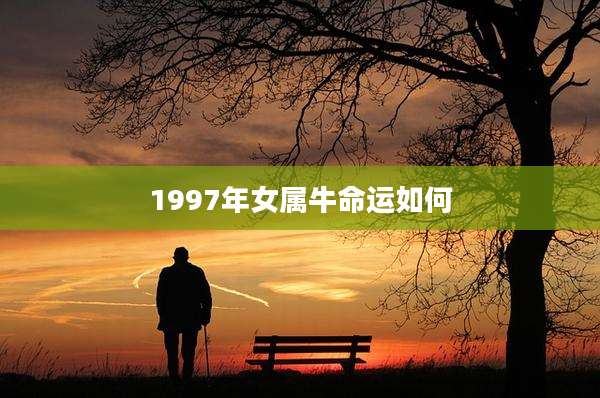 1997年女属牛命运如何