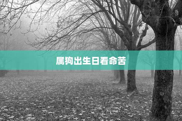 属狗出生日看命苦