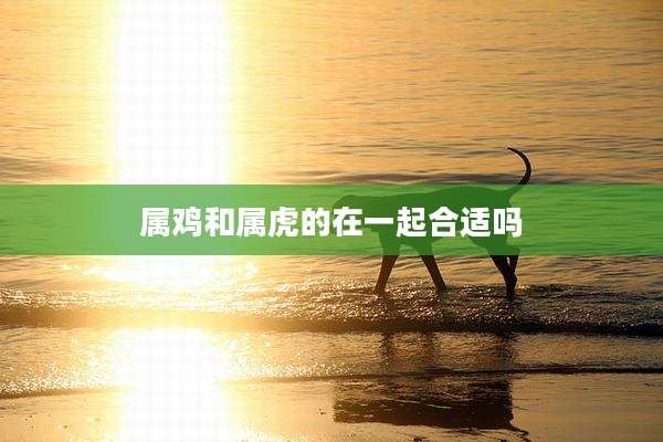 属鸡和属虎的在一起合适吗