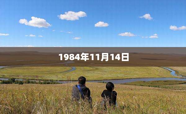 1984年11月14日