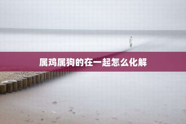 属鸡属狗的在一起怎么化解
