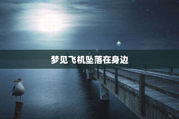 梦见飞机坠落在身边