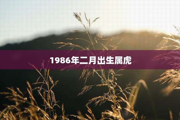 1986年二月出生属虎