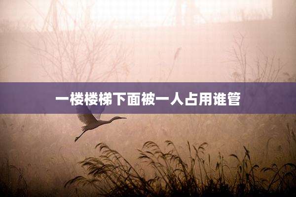一楼楼梯下面被一人占用谁管