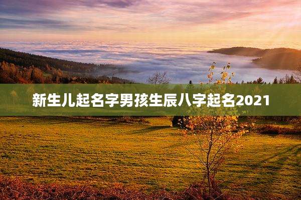新生儿起名字男孩生辰八字起名2021
