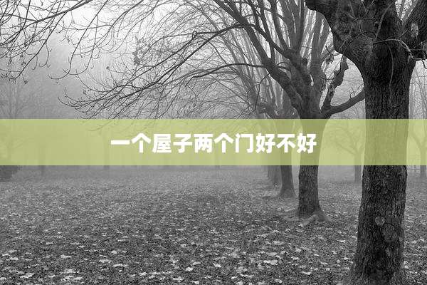 一个屋子两个门好不好