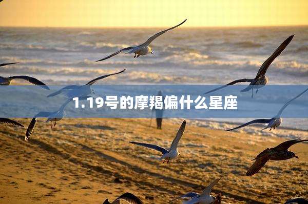 1.19号的摩羯偏什么星座