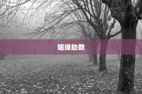 姻缘劫数