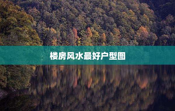楼房风水最好户型图