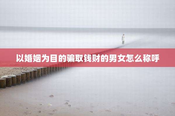 以婚姻为目的骗取钱财的男女怎么称呼