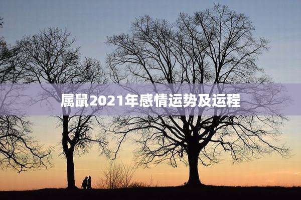 属鼠2021年感情运势及运程