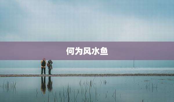 何为风水鱼
