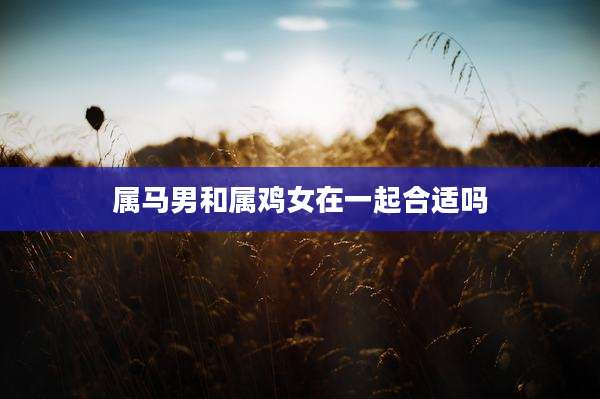 属马男和属鸡女在一起合适吗