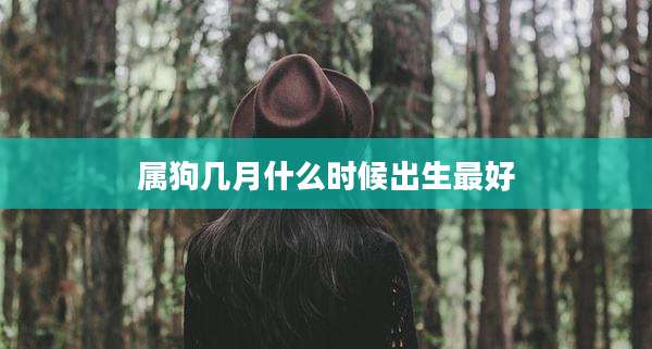 属狗几月什么时候出生最好