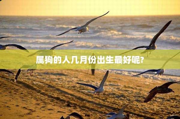 属狗的人几月份出生最好呢?