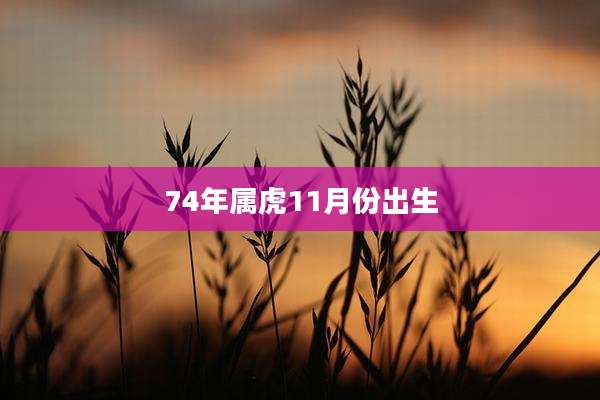 74年属虎11月份出生