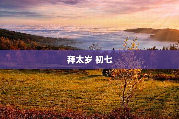 拜太岁 初七