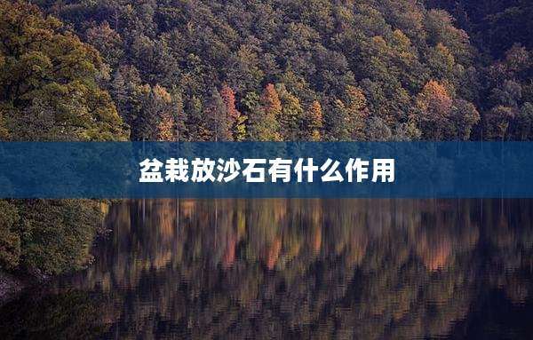 盆栽放沙石有什么作用