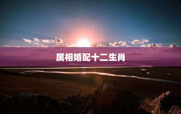 属相婚配十二生肖