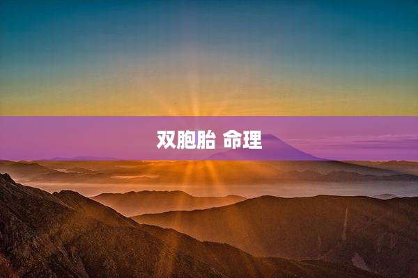 双胞胎 命理