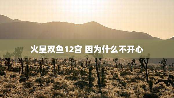 火星双鱼12宫 因为什么不开心