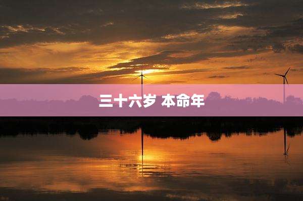 三十六岁 本命年