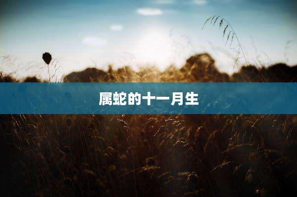 属蛇的十一月生