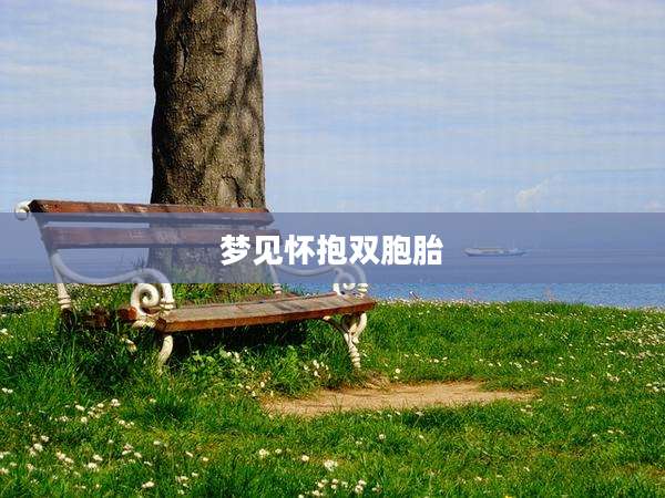 梦见怀抱双胞胎