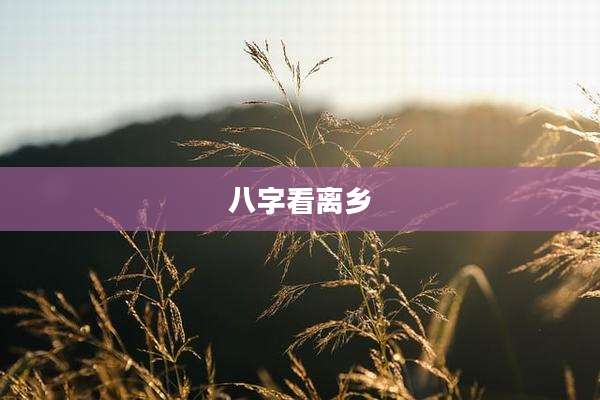 八字看离乡