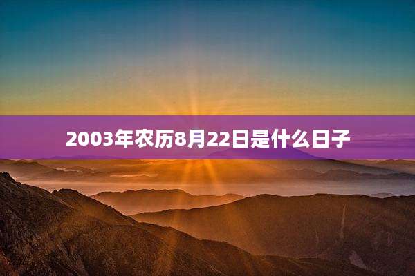 2003年农历8月22日是什么日子