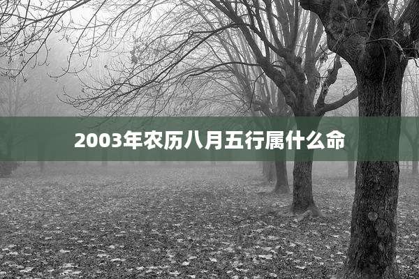 2003年农历八月五行属什么命