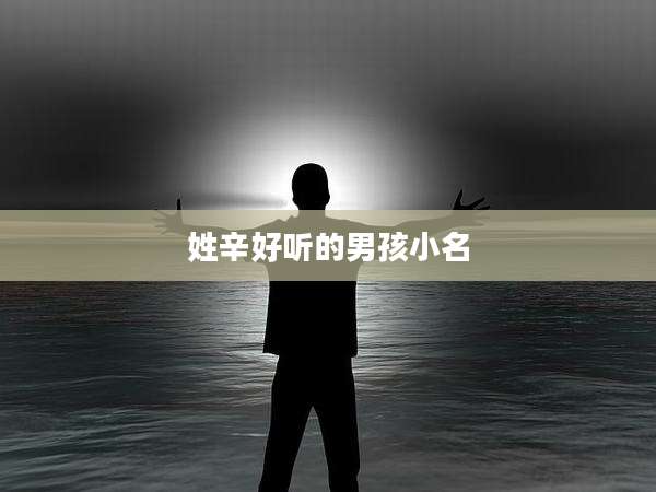 姓辛好听的男孩小名