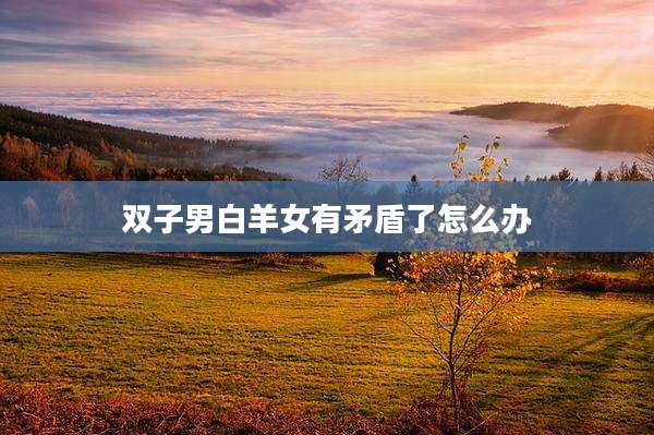 双子男白羊女有矛盾了怎么办
