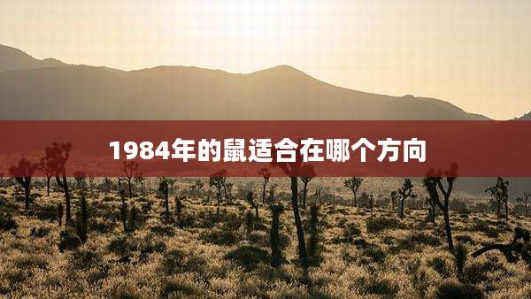 1984年的鼠适合在哪个方向
