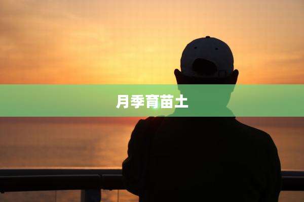 月季育苗土