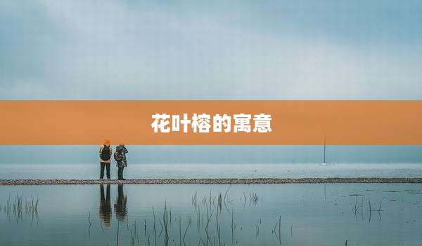 花叶榕的寓意