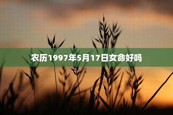 农历1997年5月17日女命好吗