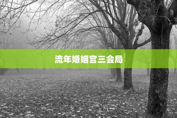流年婚姻宫三会局